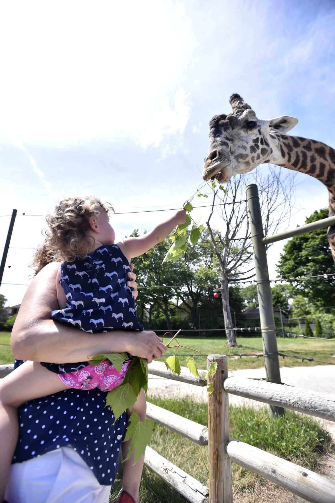 Racine Zoo Feature
